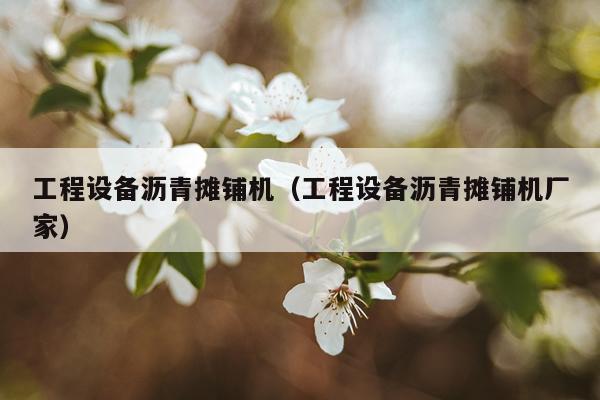 工程设备沥青摊铺机（工程设备沥青摊铺机厂家）
