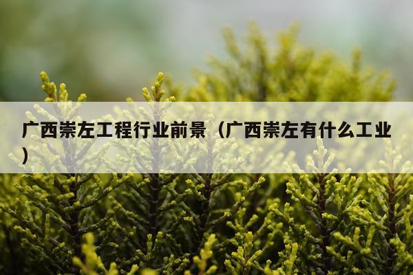 广西崇左工程行业前景（广西崇左有什么工业）