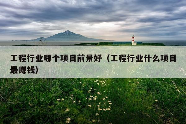 工程行业哪个项目前景好（工程行业什么项目最赚钱）