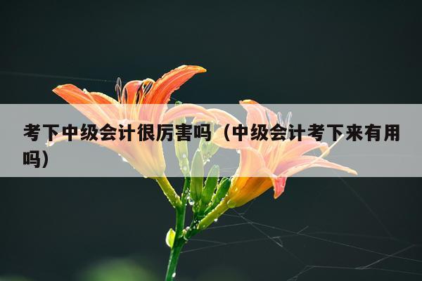 考下中级会计很厉害吗（中级会计考下来有用吗）