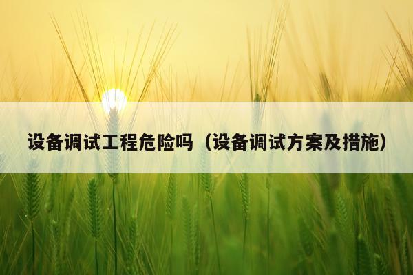 设备调试工程危险吗（设备调试方案及措施）