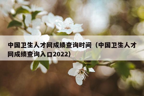 中国卫生人才网成绩查询时间（中国卫生人才网成绩查询入口2022）