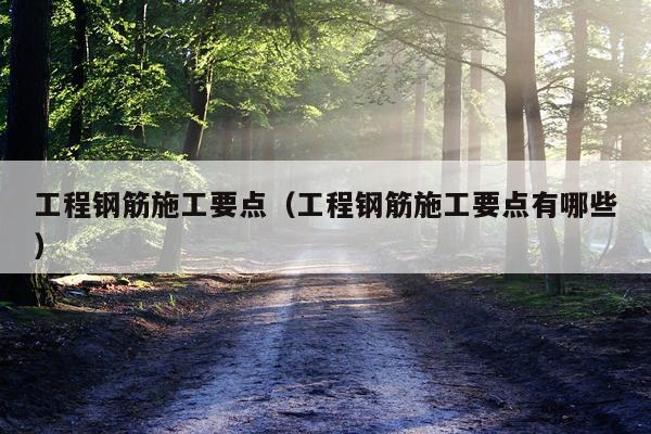 工程钢筋施工要点（工程钢筋施工要点有哪些）
