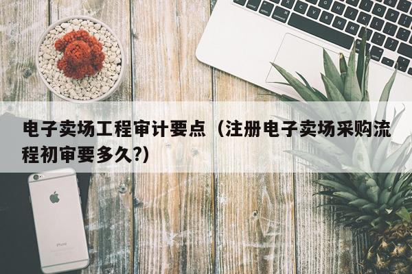 电子卖场工程审计要点（注册电子卖场采购流程初审要多久?）