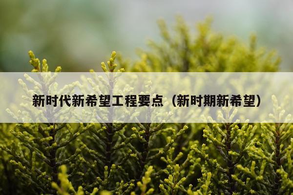 新时代新希望工程要点（新时期新希望）