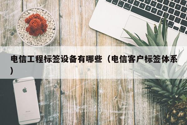 电信工程标签设备有哪些(电信客户标签体系)