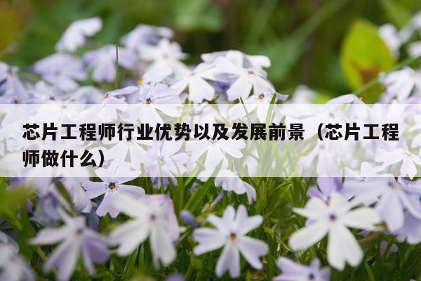 芯片工程师行业优势以及发展前景（芯片工程师做什么）