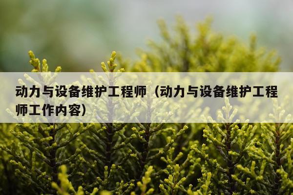 动力与设备维护工程师（动力与设备维护工程师工作内容）