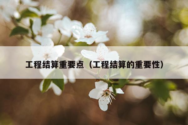 工程结算重要点（工程结算的重要性）