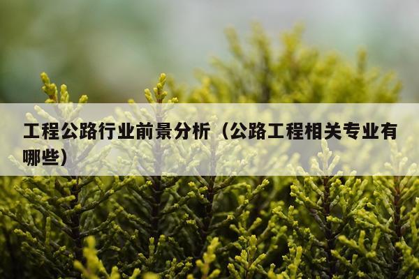 工程公路行业前景分析（公路工程相关专业有哪些）