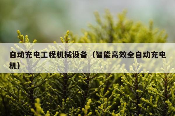 自动充电工程机械设备（智能高效全自动充电机）