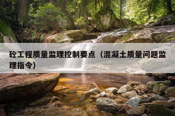 砼工程质量监理控制要点（混凝土质量问题监理指令）