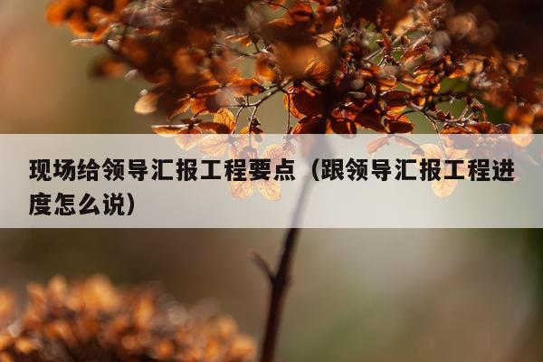 现场给领导汇报工程要点(跟领导汇报工程进度怎么说)