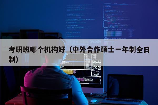 考研班哪个机构好（中外合作硕士一年制全日制）