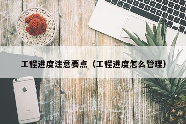 工程进度注意要点（工程进度怎么管理）
