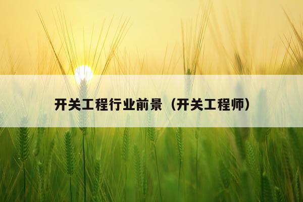 开关工程行业前景（开关工程师）