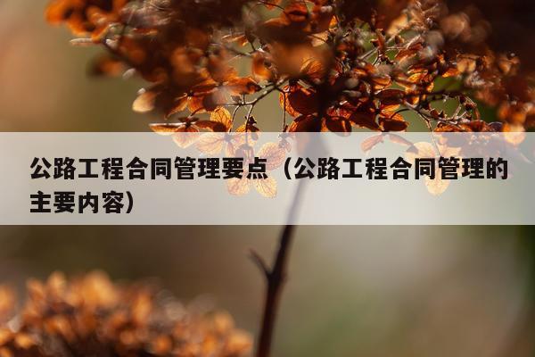 公路工程合同管理要点（公路工程合同管理的主要内容）
