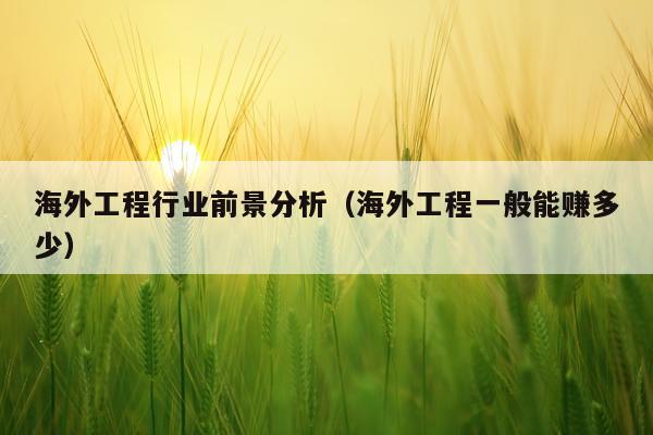 海外工程行业前景分析（海外工程一般能赚多少）