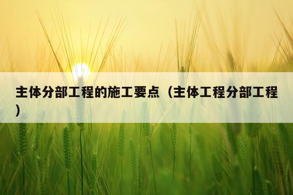 主体分部工程的施工要点（主体工程分部工程）