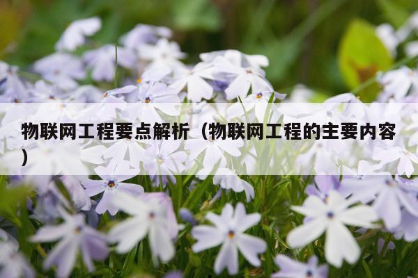 物联网工程要点解析（物联网工程的主要内容）