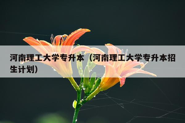 河南理工大学专升本(河南理工大学专升本招生计划)