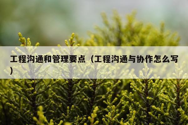 工程沟通和管理要点（工程沟通与协作怎么写）