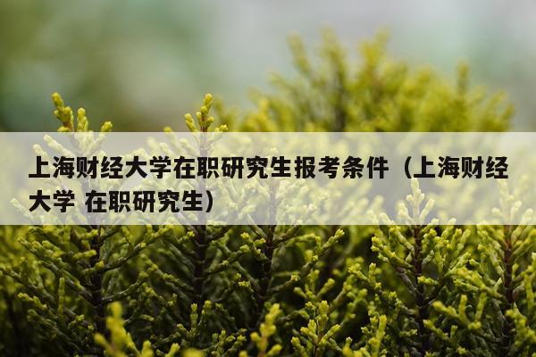 上海财经大学在职研究生报考条件（上海财经大学 在职研究生）