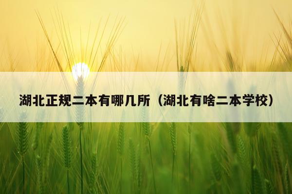 湖北正规二本有哪几所（湖北有啥二本学校）