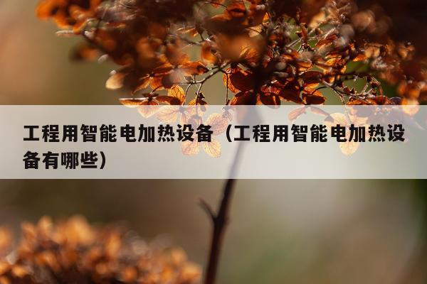 工程用智能电加热设备（工程用智能电加热设备有哪些）