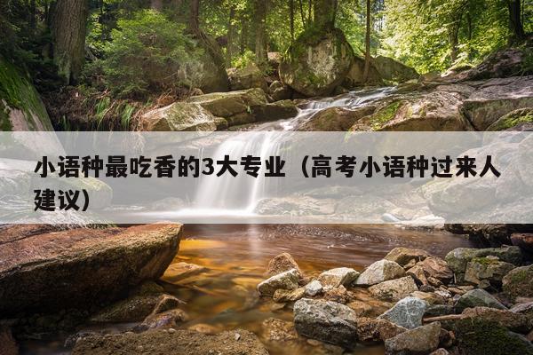 小语种最吃香的3大专业（高考小语种过来人建议）
