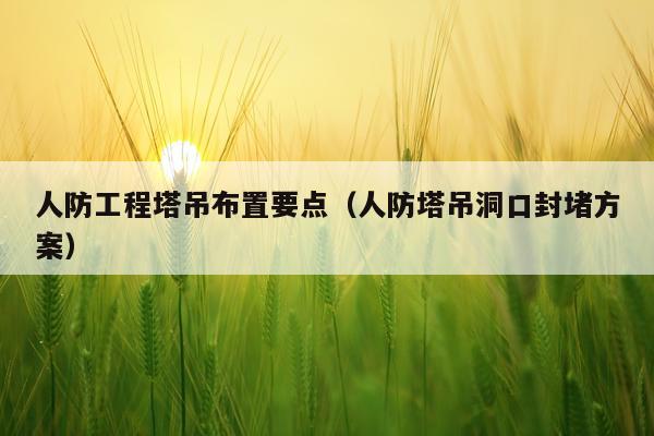 人防工程塔吊布置要点（人防塔吊洞口封堵方案）