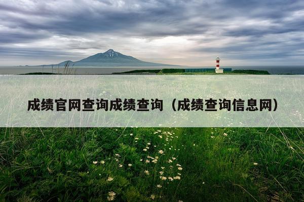 成绩官网查询成绩查询（成绩查询信息网）