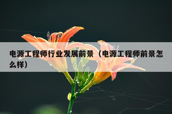电源工程师行业发展前景（电源工程师前景怎么样）