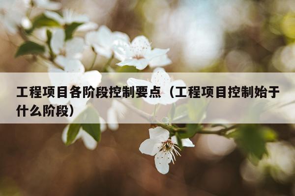 工程项目各阶段控制要点（工程项目控制始于什么阶段）