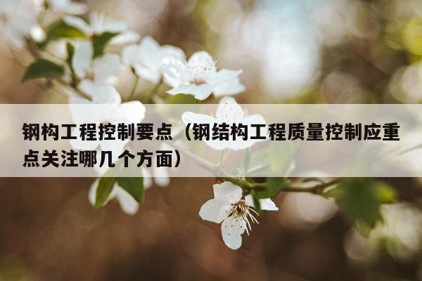 钢构工程控制要点（钢结构工程质量控制应重点关注哪几个方面）