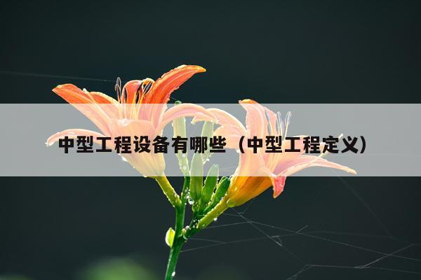 中型工程设备有哪些（中型工程定义）