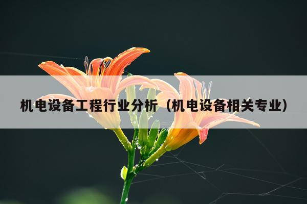 机电设备工程行业分析（机电设备相关专业）
