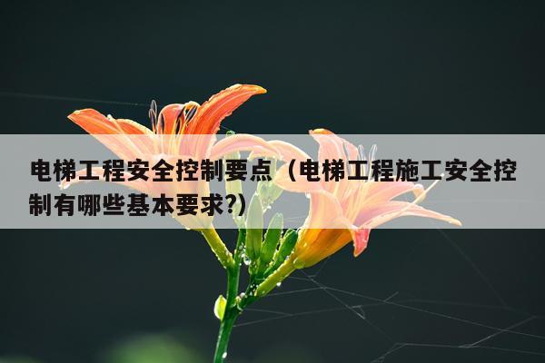 电梯工程安全控制要点（电梯工程施工安全控制有哪些基本要求?）