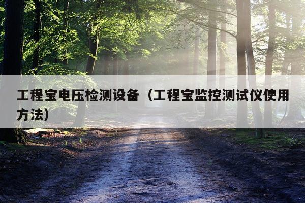 工程宝电压检测设备（工程宝监控测试仪使用方法）