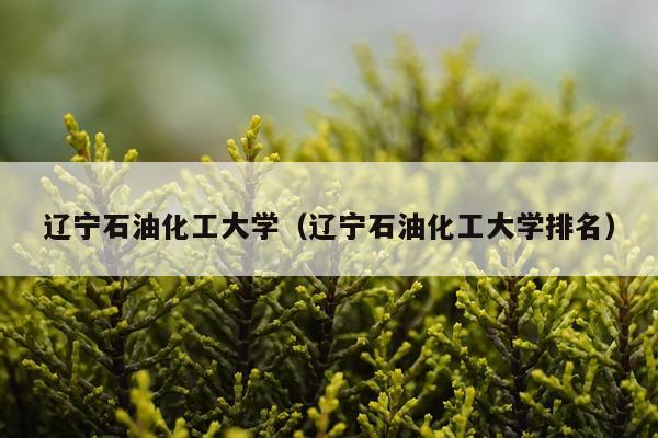 辽宁石油化工大学（辽宁石油化工大学排名）