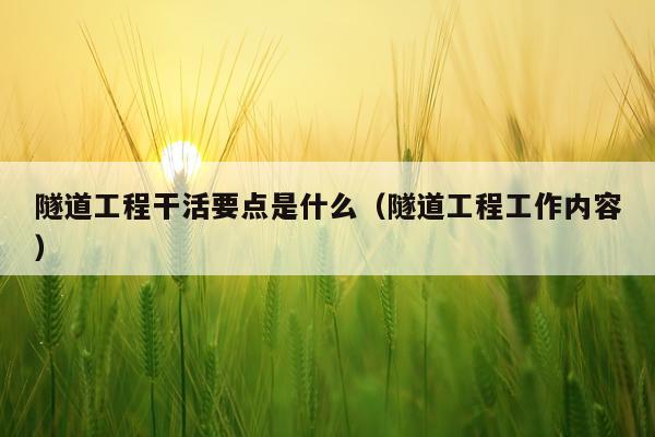 隧道工程干活要点是什么（隧道工程工作内容）