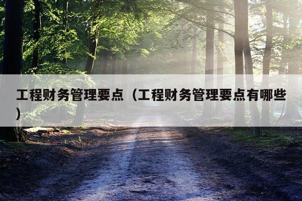 工程财务管理要点（工程财务管理要点有哪些）