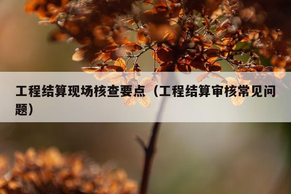 工程结算现场核查要点（工程结算审核常见问题）