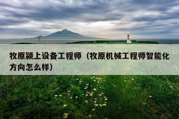 牧原颍上设备工程师（牧原机械工程师智能化方向怎么样）