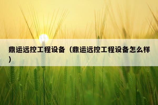 鼎运远控工程设备（鼎运远控工程设备怎么样）