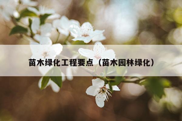 苗木绿化工程要点（苗木园林绿化）