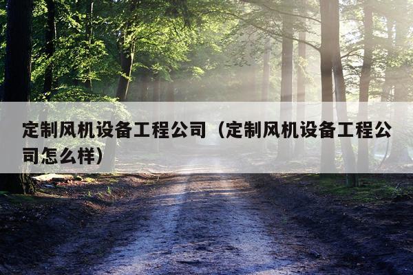 定制风机设备工程公司（定制风机设备工程公司怎么样）