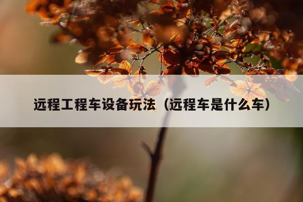 远程工程车设备玩法（远程车是什么车）