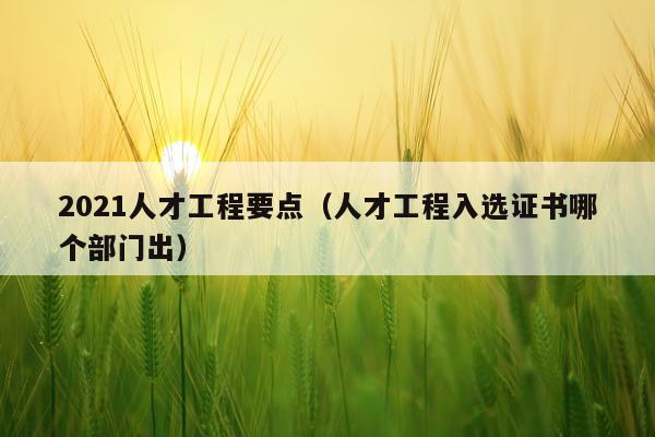 2021人才工程要点（人才工程入选证书哪个部门出）