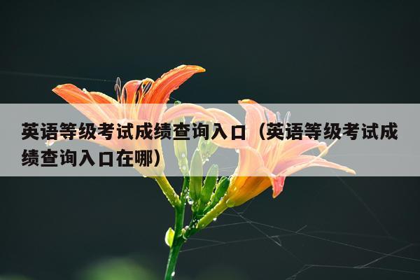 英语等级考试成绩查询入口（英语等级考试成绩查询入口在哪）